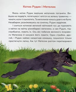 Котик рудик